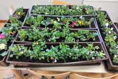 WhatsApp-Image-2026-04-07-at-14.10.24