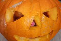 WhatsApp-Image-2025-10-31-at-17.36.43-1