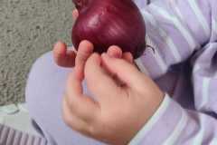 WhatsApp-Image-2025-10-14-at-17.37.22-3