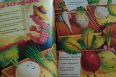 WhatsApp-Image-2025-10-14-at-17.37.22