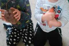 WhatsApp-Image-2025-10-14-at-17.37.23-2