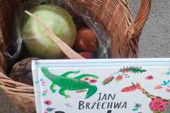 WhatsApp-Image-2025-10-14-at-17.37.24