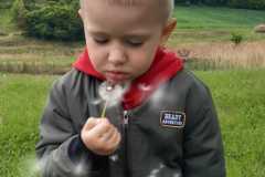 IMG-20220529-WA0036