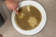 WhatsApp-Image-2025-10-17-at-12.15.39-1