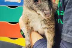 WhatsApp-Image-2025-12-01-at-15.14.57