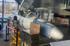 IMG-20240129-WA0005