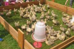 IMG-20240604-WA0074