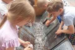 IMG-20240604-WA0075