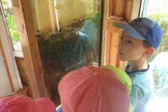 IMG-20240604-WA0087