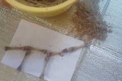 WhatsApp-Image-2026-02-26-at-13.17.16-3