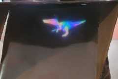 WhatsApp-Image-2026-02-26-at-19.58.52